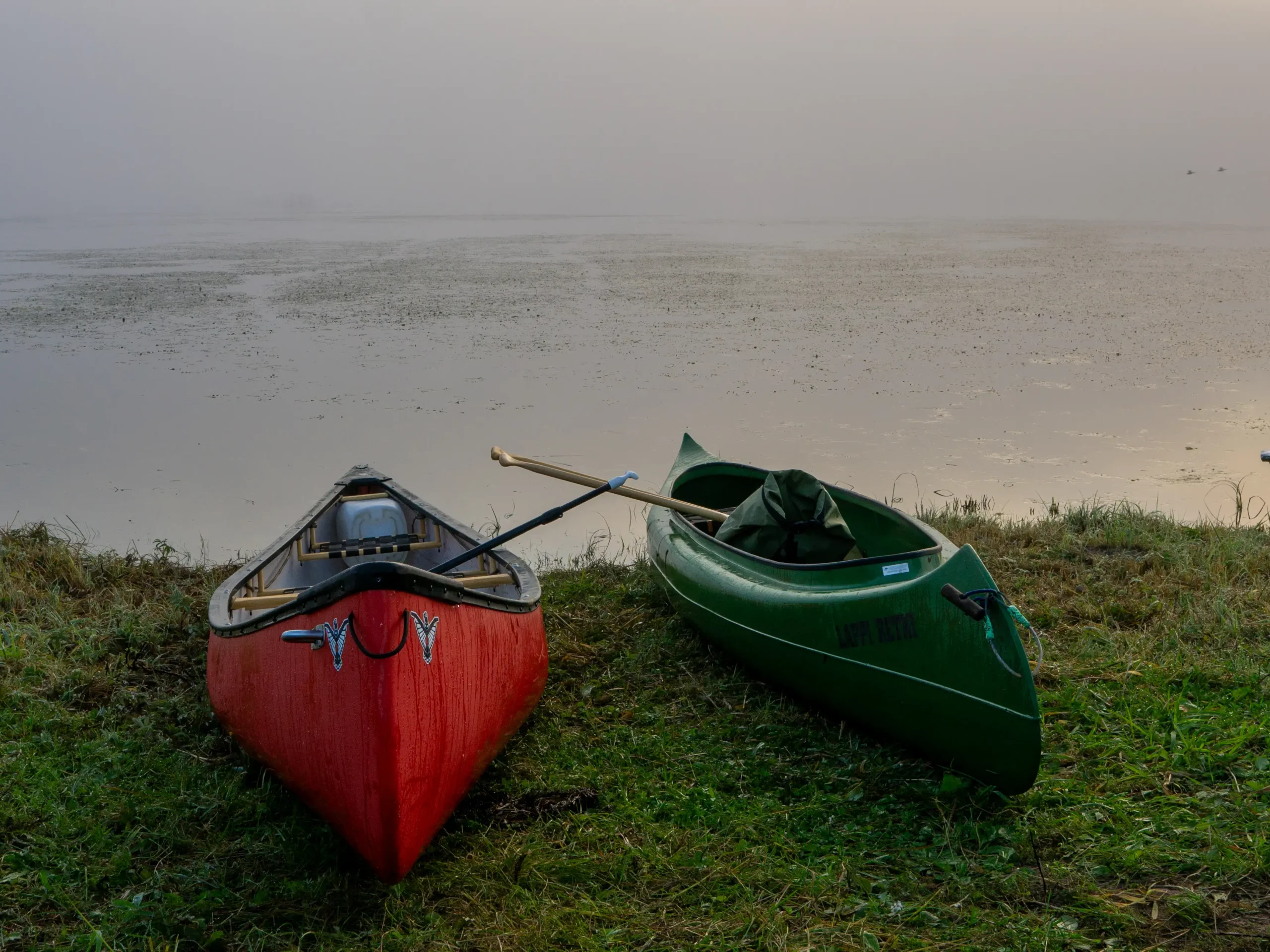 Red and green canoes resting on a grassy riverbank