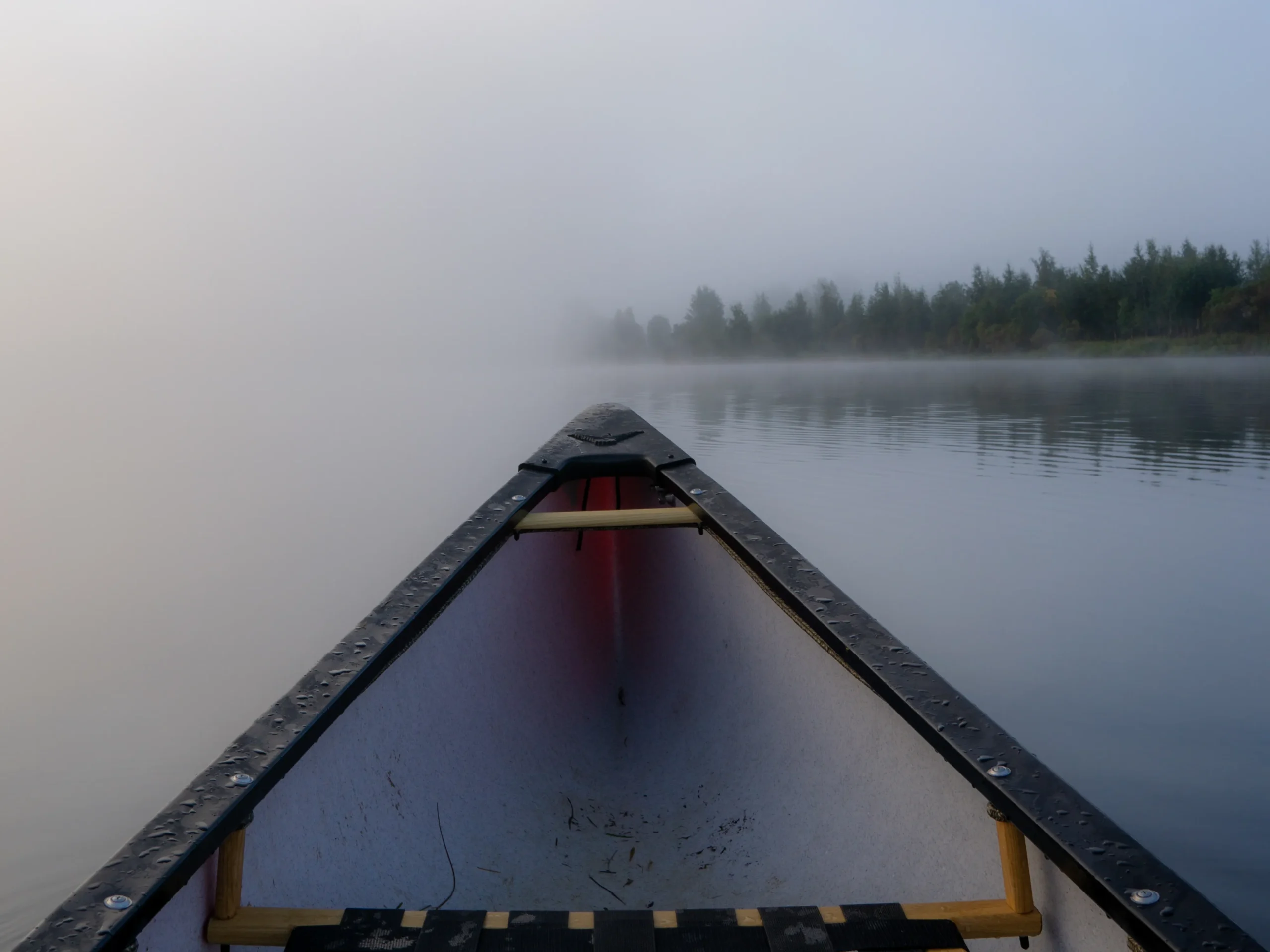 View over the bow of a canoe on still water at dawn